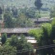 梨樹腦村(塘子鎮鐘靈行政村) 梨樹腦村(塘子鎮鐘靈行政村)