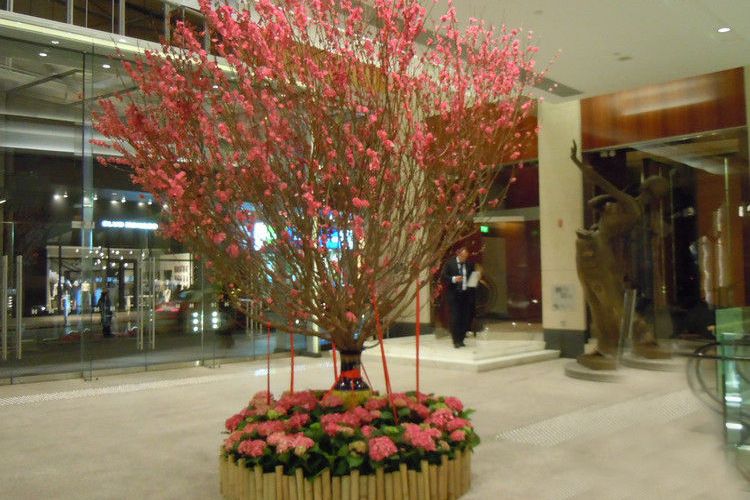 桃樹旅館 桃樹旅館