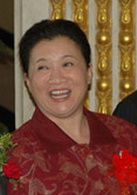 掌門女婿