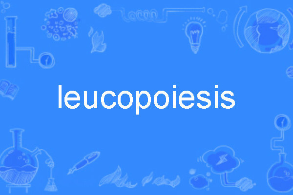 leucopoiesis leucopoiesis