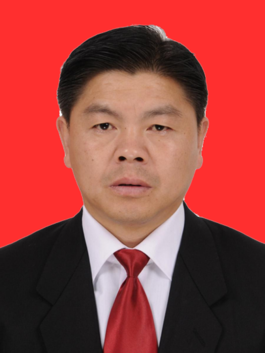 周超(重慶市南川區大有鎮黨委書記) 周超(重慶市南川區大有鎮黨委書記)