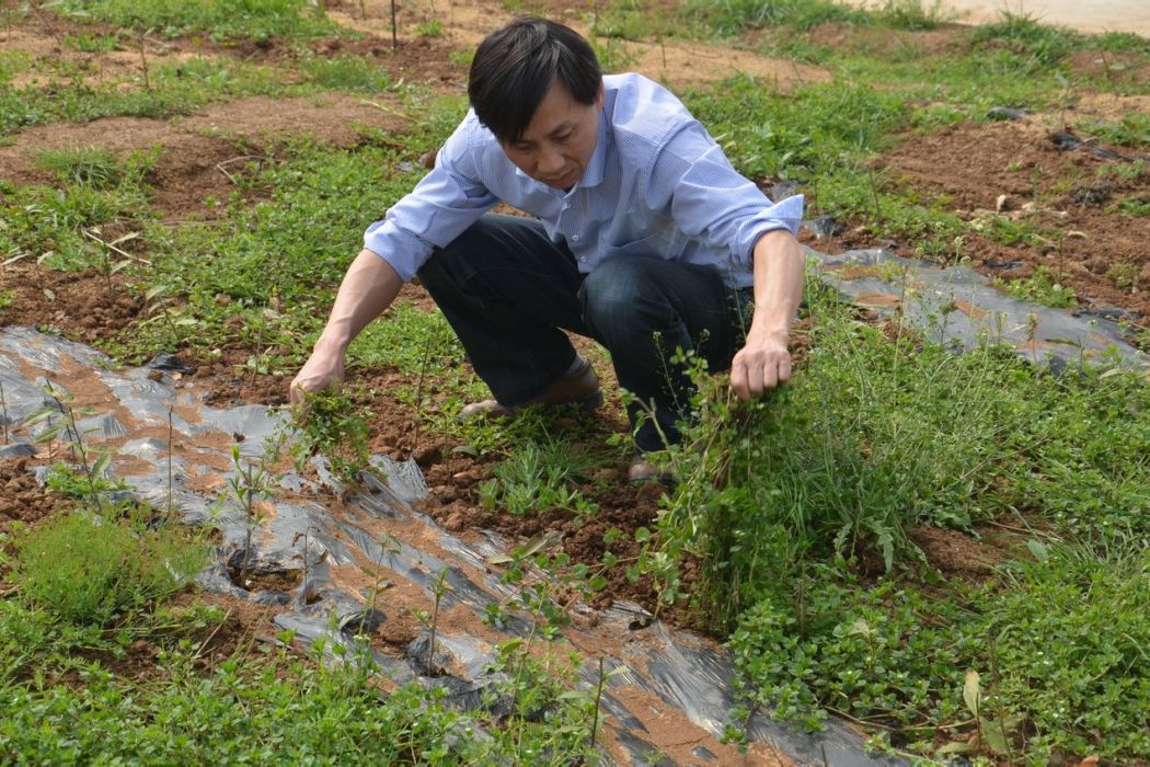 肖長順 肖長順