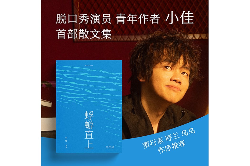 蜉蝣直上 蜉蝣直上