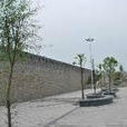 魯肅堤 魯肅堤