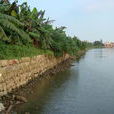 河堤(水利工程)