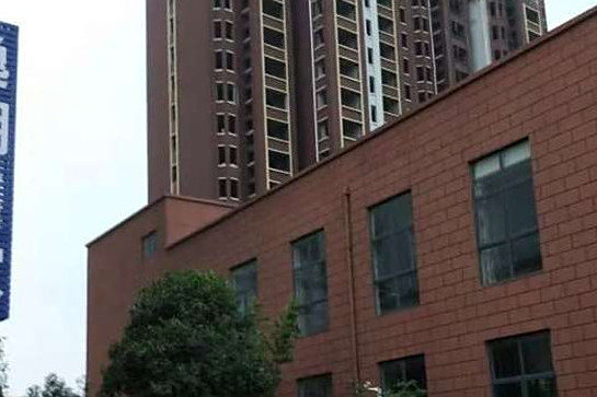 逸湖名家 逸湖名家