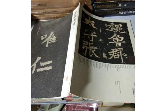 張猛龍碑(2008年河南美術出版社出版的圖書) 張猛龍碑(2008年河南美術出版社出版的圖書)