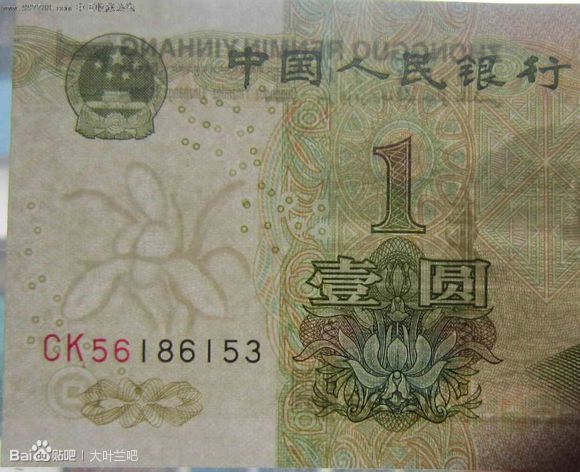 大葉蘭冠號 大葉蘭冠號