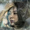 wanted(2016年韓國SBS月火劇) wanted(2016年韓國SBS月火劇)