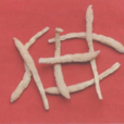 五爪龍(桑科粗葉榕根或枝條(中藥)) 五爪龍(桑科粗葉榕根或枝條(中藥))