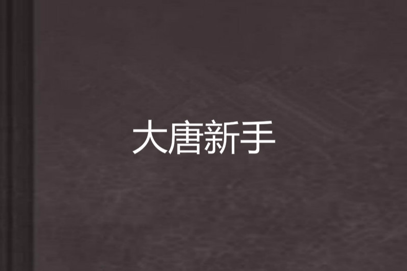大唐新手 大唐新手