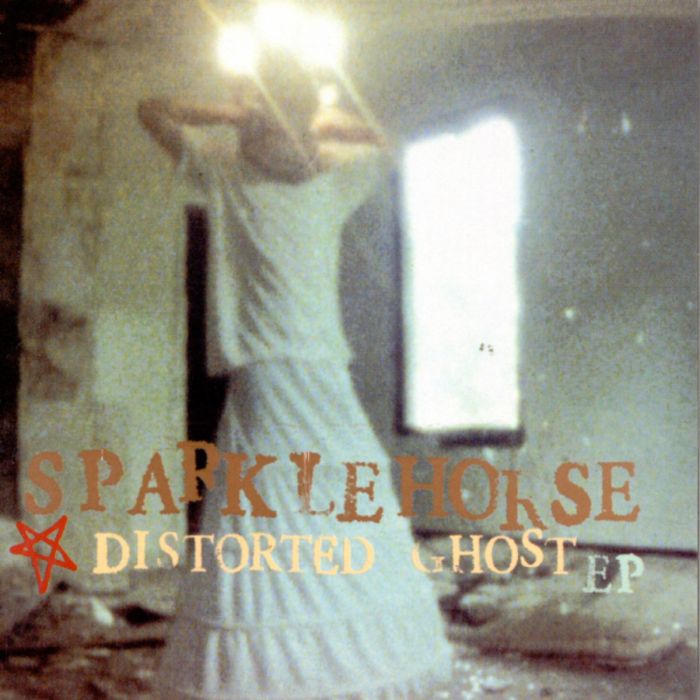 Distorted Ghost Distorted Ghost