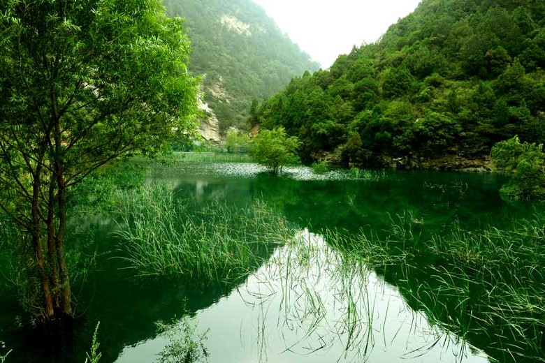 石膏坪村 石膏坪村