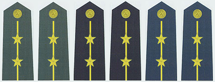 陸海空軍中尉常服肩章(2007—)