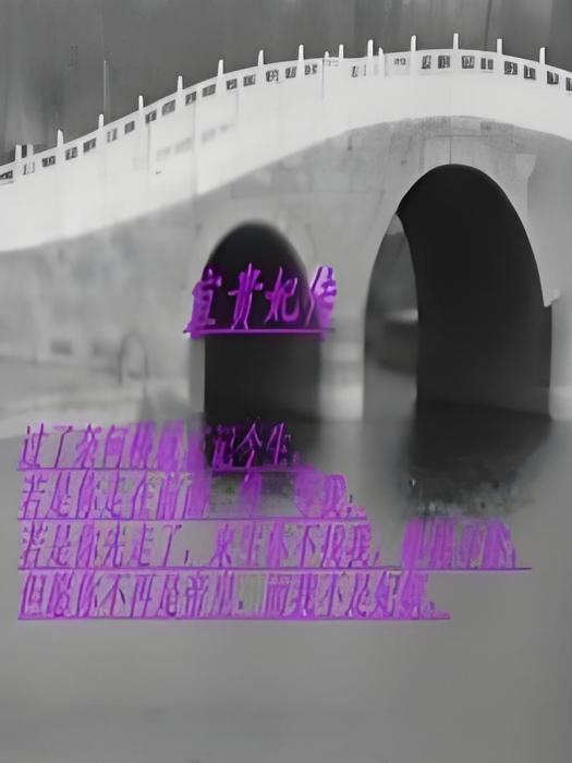 宜貴妃傳 宜貴妃傳