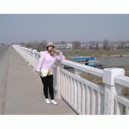 安徽安慶皖河大橋