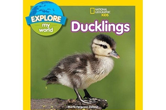 Explore My World: Ducklings