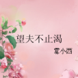 望夫不止渴 望夫不止渴