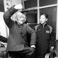 高家拳 高家拳