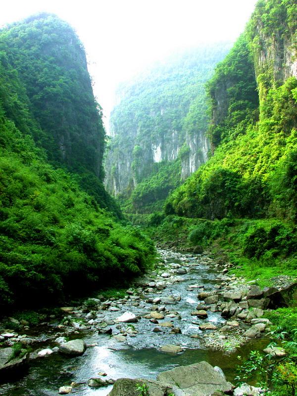 貴州湄潭百面水省級自然保護區