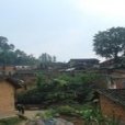龍卜村(壩美鎮轄村) 龍卜村(壩美鎮轄村)