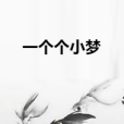 一個個小夢 一個個小夢