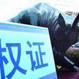 行權起始日 行權起始日
