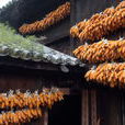 圭山鄉