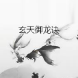 玄天御龍訣