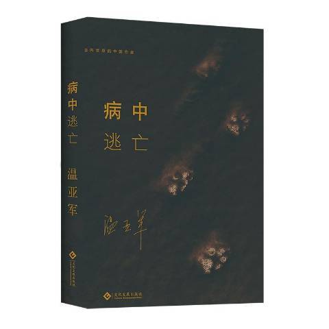 病中逃亡(2019年文化發展出版社出版的圖書) 病中逃亡(2019年文化發展出版社出版的圖書)