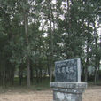 瓦店遺址 瓦店遺址