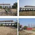 瑤水國小 瑤水國小