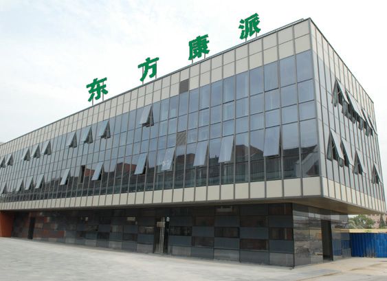 東方康派 東方康派