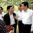 香棗 香棗