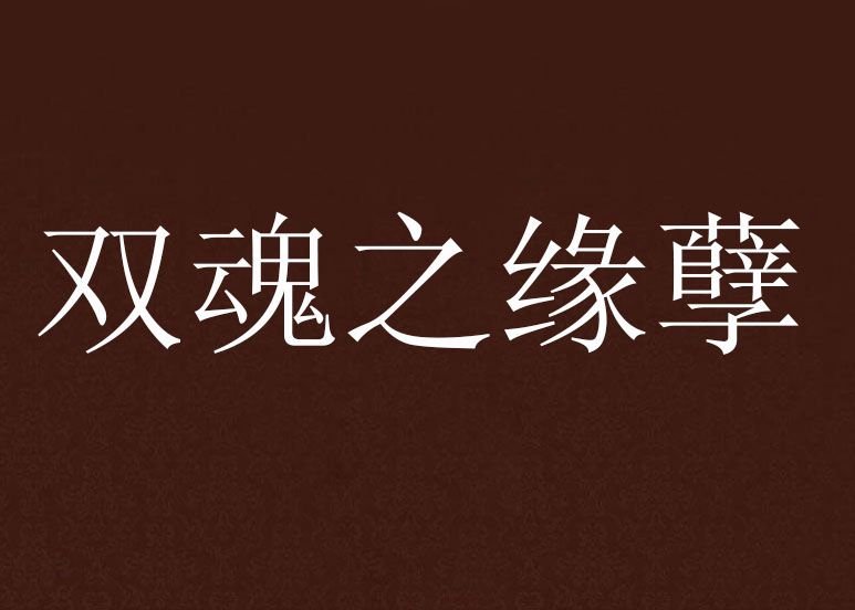 雙魂之緣孽