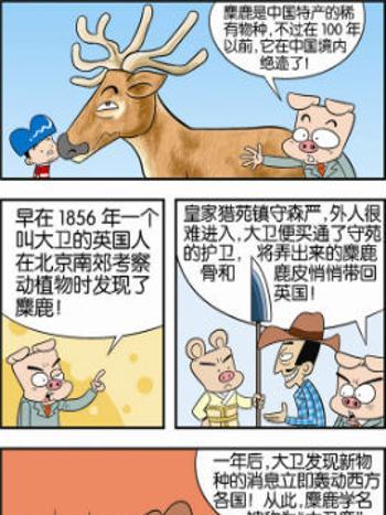 動物可笑堂41 動物可笑堂41