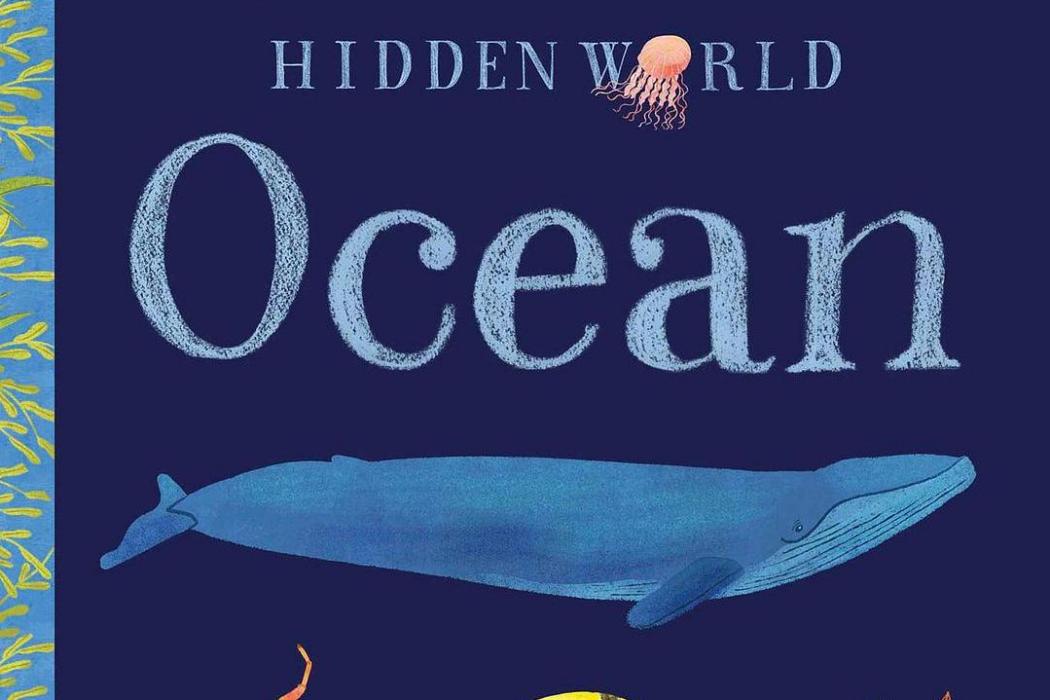 Hidden World: Ocean Hidden World: Ocean