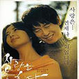 錯過愛情(2006年韓國電影)