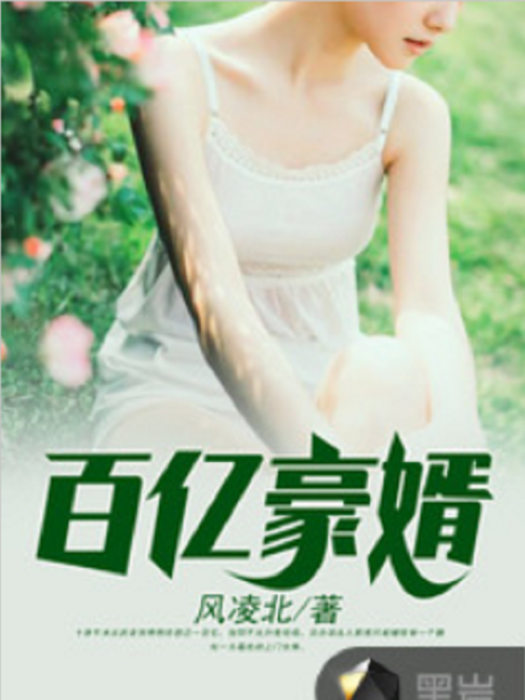 百億豪婿 百億豪婿