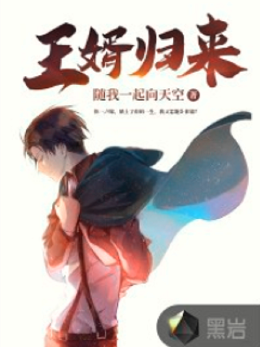 王婿歸來 王婿歸來