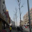 興政東里 興政東里