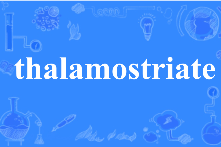 thalamostriate thalamostriate