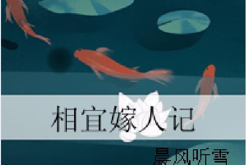 相宜嫁人記