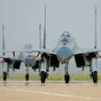 航空兵師 航空兵師