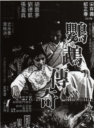 胡因夢 胡因夢