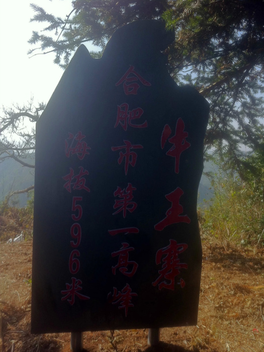 牛王寨(劉王寨) 牛王寨(劉王寨)