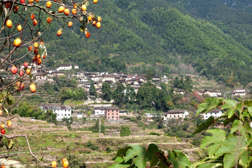 季山頭村 季山頭村