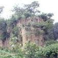二疏城遺址 二疏城遺址