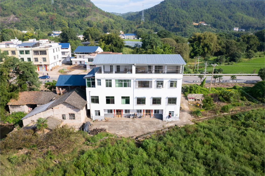 樂村村(江西省贛州市瑞金市謝坊鎮下轄村) 樂村村(江西省贛州市瑞金市謝坊鎮下轄村)