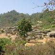 老龍樹村(雲南省文山州丘北縣新店彝族鄉老龍樹村) 老龍樹村(雲南省文山州丘北縣新店彝族鄉老龍樹村)